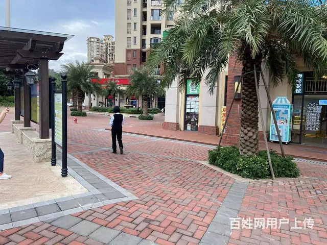 美林湖星汇半岛商业街 一线街铺 稳定租金 5年租约 - 图片 3