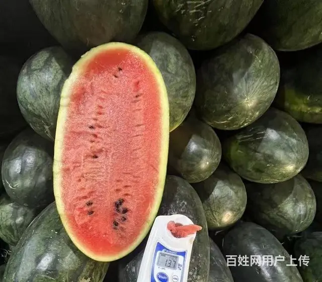 水果供应商成都水果批发市场配送餐饮酒吧KTV酒店食 - 图片 8