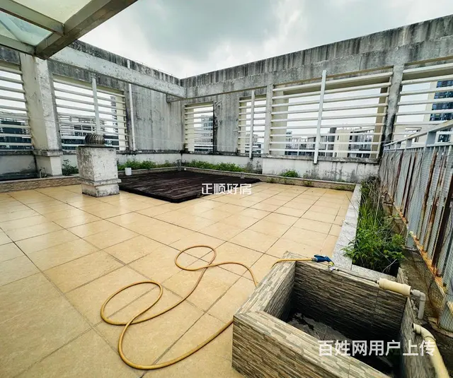 南湾区 中信红树湾旁 南湾国际 顶楼复试 230平，大四房 - 图片 1