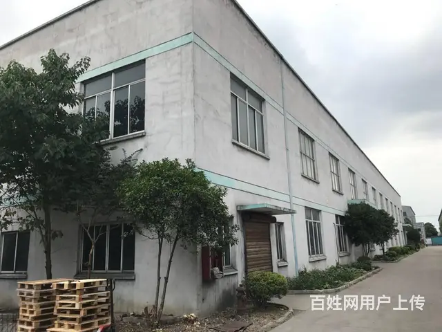 陆家镇原房东600平1200平厂房出租无物业费 - 图片 1