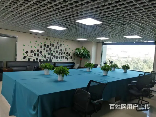 超低出租湖里殿前翔鹭酒店旁办公室含办公家具创业 - 图片 4