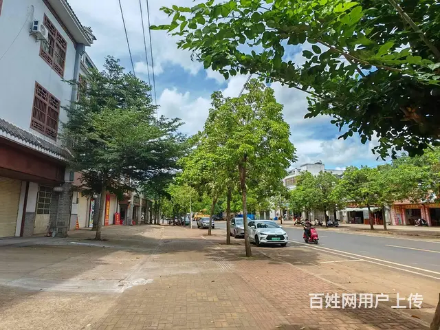 （51旺铺推荐）美兰三江镇400平出租 - 图片 7