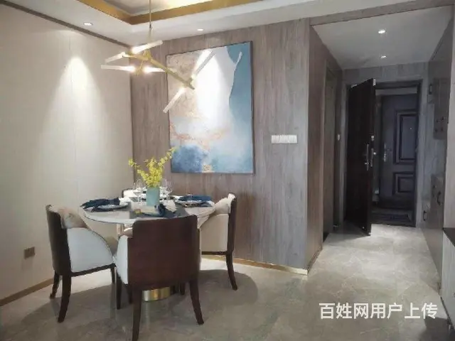 只需一橙陆洣，低月供，湖景房，吾悦广场旁，轻轨一号线 - 图片 3