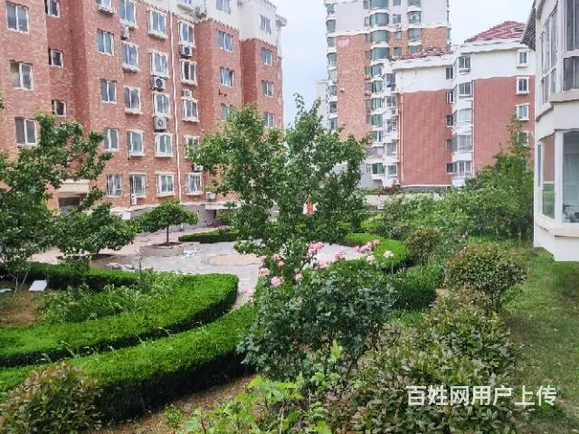 矮楼层三室一厅一卫 - 图片 6