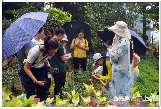 厦门评茶师培训厦门评茶员培训去哪学? - 图片 7