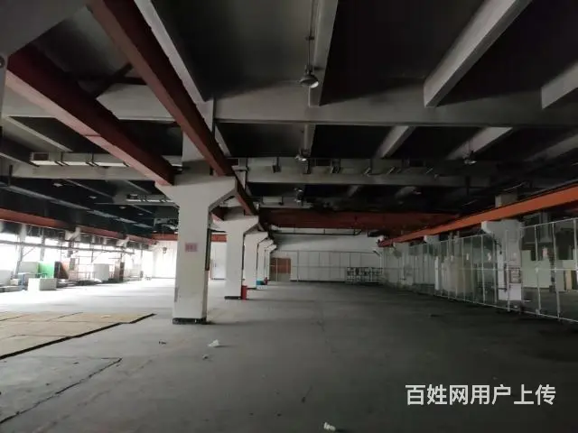 周市带行车厂房出租 - 图片 2