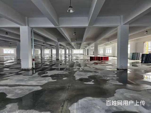 董浜全新厂房1至4层14000平，可分租，高8米，随时可用。 - 图片 3
