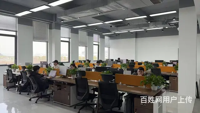 【出租】新兴工业园标准厂房，可享租金补贴 - 图片 10