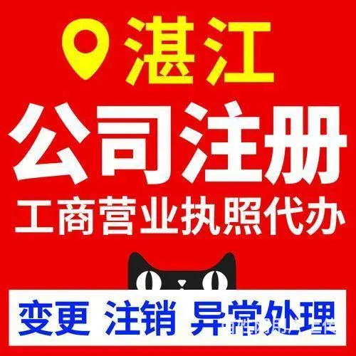 湛江代办营业执照，湛江代办公司注销，代理记账 - 图片