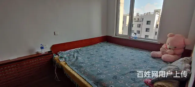 自家房屋首次出租 - 图片 6