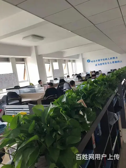 安全专篇 报告咨询 - 图片 5