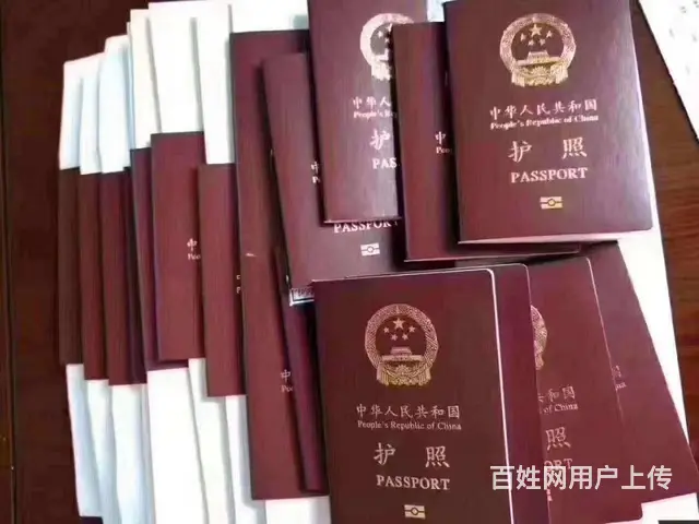 保签正规出国劳务澳大利亚丨新西兰丨工种多年薪40万 - 图片 4