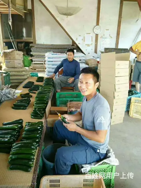 正规出国劳务（意大利年薪30万）工种多/技工普工 - 图片 2