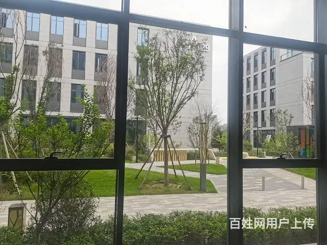 甲方直售 一楼980平写字间 沈阳国际软件园A区 - 图片 5