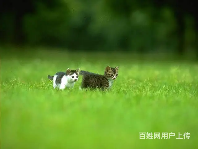 有钱不全行  有你才行 - 图片