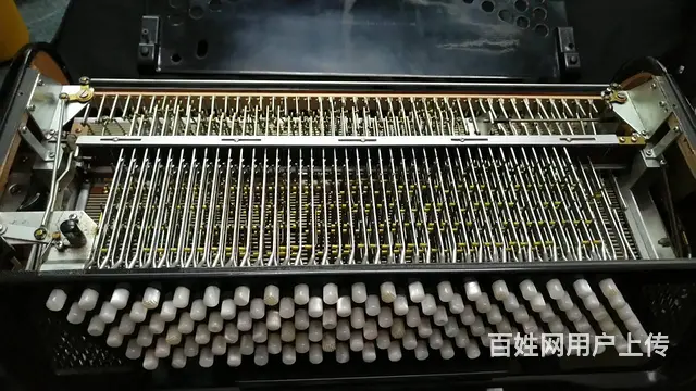 广州鹦鹉手风琴维修服务站，百乐金杯手风琴维修 - 图片 1