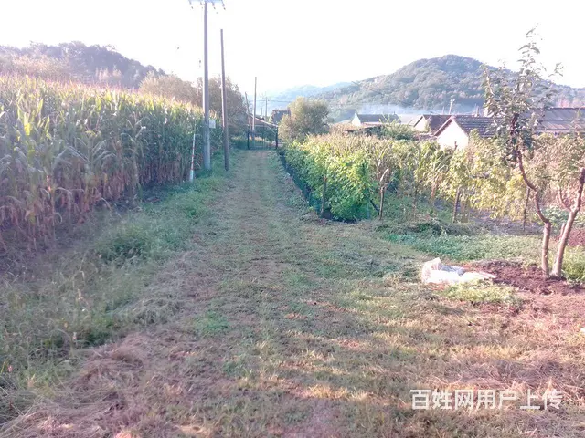 农村房屋出售 - 图片 3