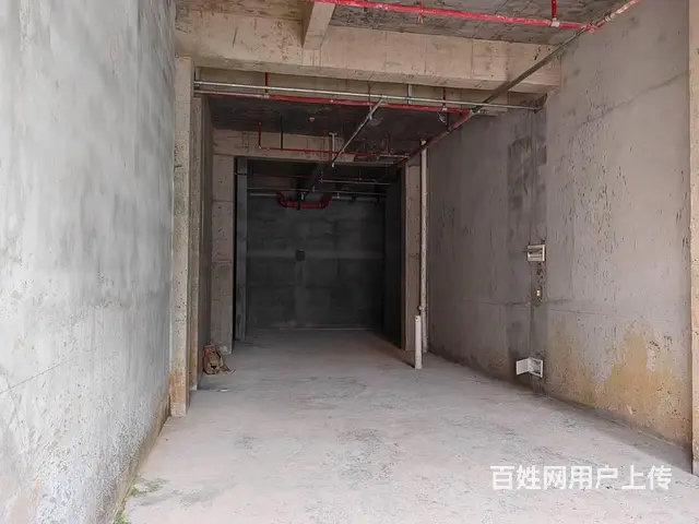 （51旺铺推荐）坡博路119平旺铺出租 - 图片 2