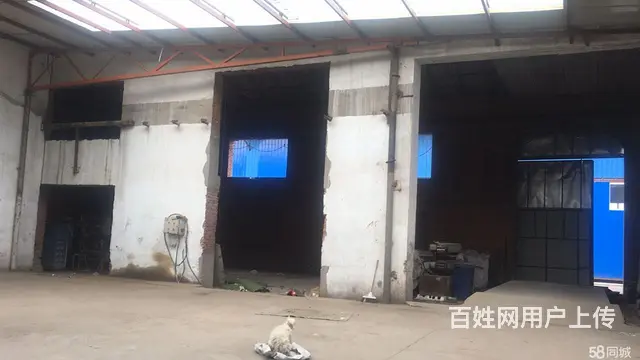 道里机场路姜家窝棚厂房出租 - 图片 7