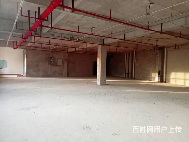 （老板本人）（好消息)望城临街旺铺房东直租 - 图片 3