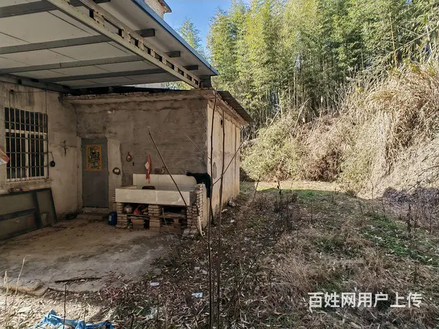 自建二层小洋房 - 图片 3