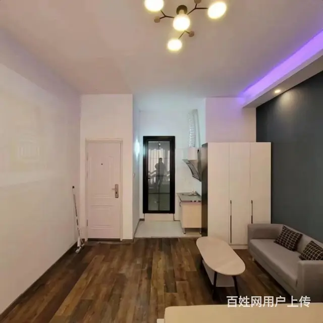 玉兰花园精装修单身公寓出租家具家电齐全，拎包入住，欧式风格， - 图片 11