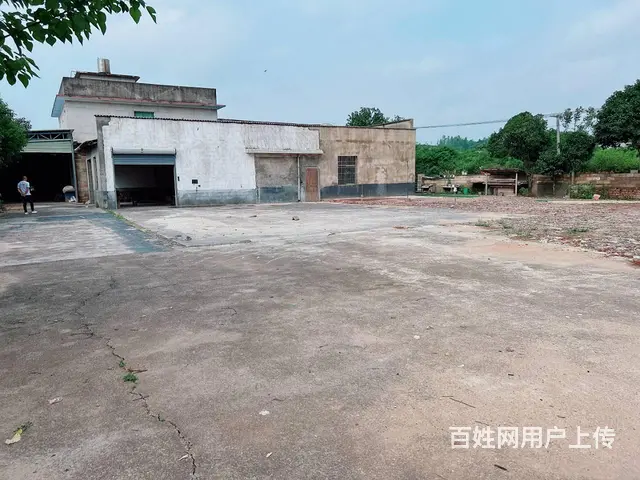 （老板本人）安沙107国道边优质厂房仓库带场地出租 6447 - 图片 1