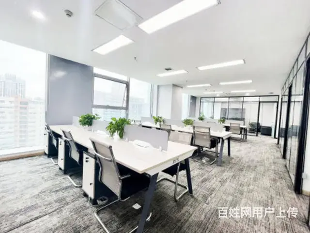 地铁世纪城 天府大道上 天祥广场旁 4隔间18工位 拎包入驻 - 图片 9