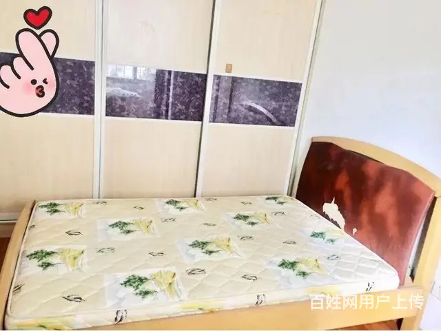 白天鹅公安宿舍 阅读 让心灵澄静自觉 家 让生活慰 - 图片 8