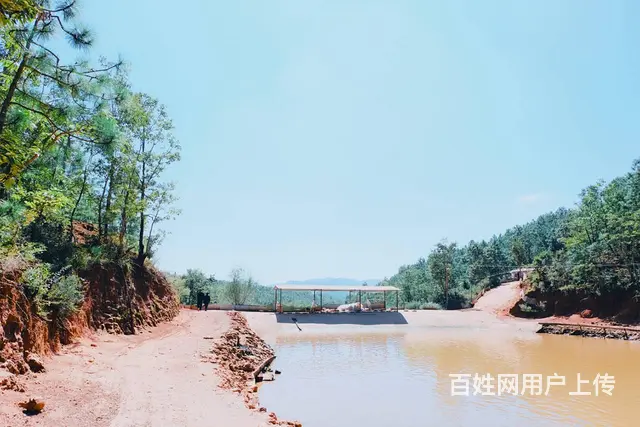 4800（商客网）楚雄武定2000亩大型农庄转让 - 图片 2