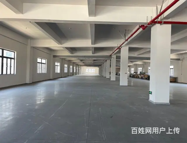 南屏2500~5500平高标准厂房业主直租，厂房形 - 图片 6