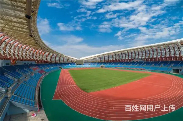 预制型橡胶跑道卷材详解 - 图片