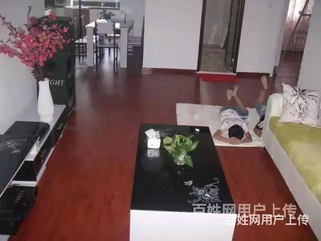 朝辉小区 普通住宅2厅 精装修 - 图片 2