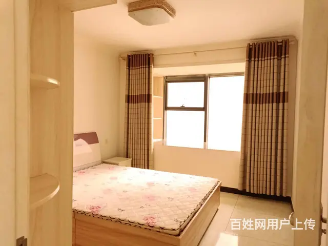 常青藤 普通住宅1厅 精装修 - 图片 3