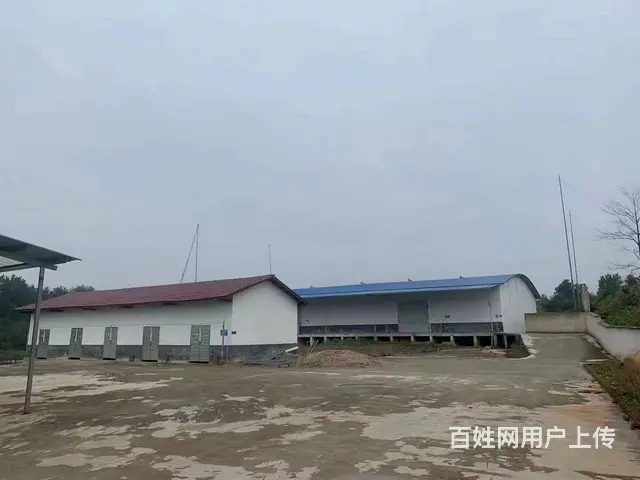 （老板本人）浏阳6500平方独门独院厂房低价出租（房东直租） - 图片 3
