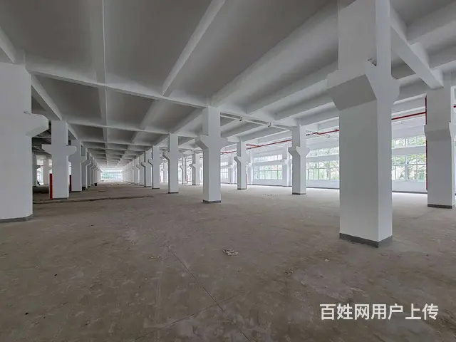 古里全新独栋厂房每层5300平，配有4部3吨货梯，有食堂宿舍 - 图片 3