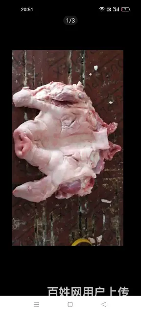 各种肉食，炸串类食品 - 图片 7