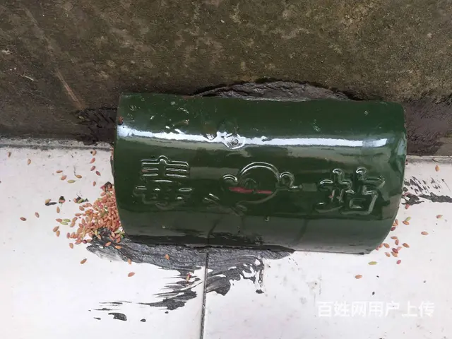 双峰县专业灭老鼠灭蟑螂灭白蚁 - 图片 6