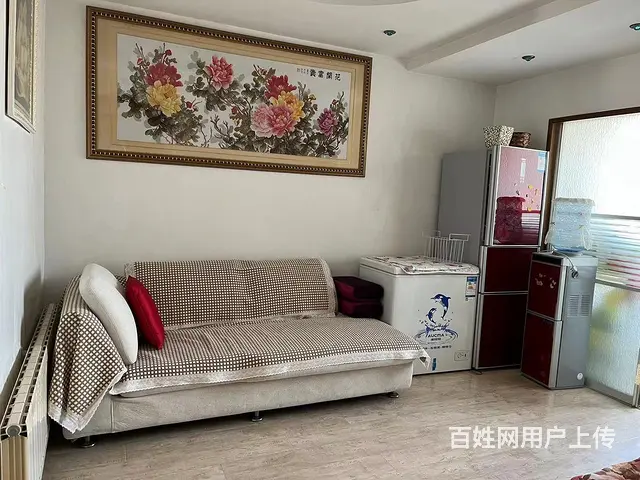 开发区夹河苑 普通住宅2厅 精装修 - 图片 10