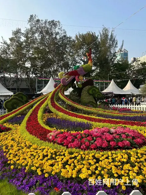 珠海绿雕 鲜花雕塑 假花雕塑 花艺雕塑 - 图片 5