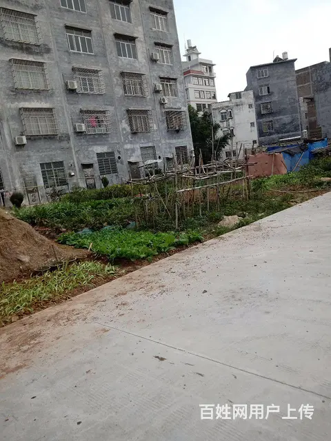 大岭国有土地岀售 - 图片 1