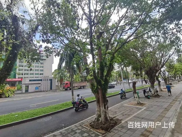 （51旺铺推荐）白龙南路79平空铺招租 - 图片 1