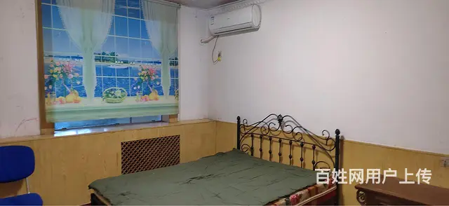 新北小区西院1楼2室1厅出租 - 图片 4