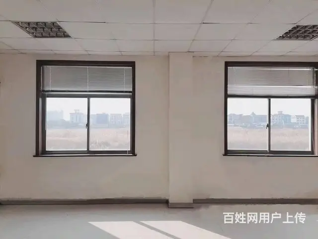 星普快牛创业园丨 正对电梯3000方丨可直播丨办公室出租 - 图片 5