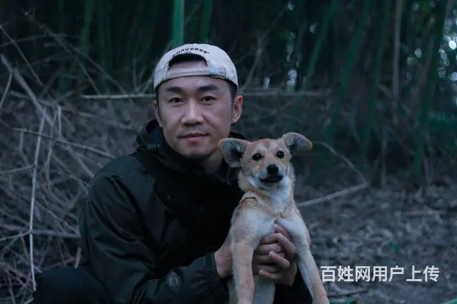 广州狗跑丢了找不到怎么办？找回来几率大吗？快速找狗 - 图片 5