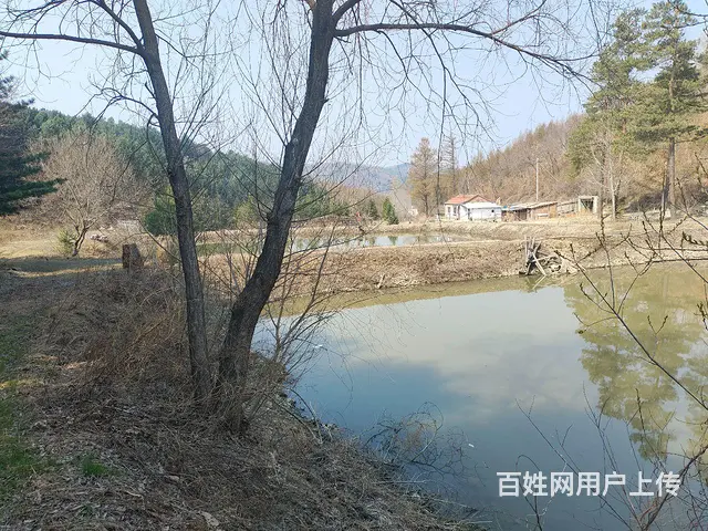 天然氧吧 - 图片 3