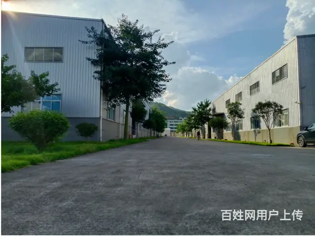 武江区沐溪一路6000方厂房招租可分租 - 图片 11