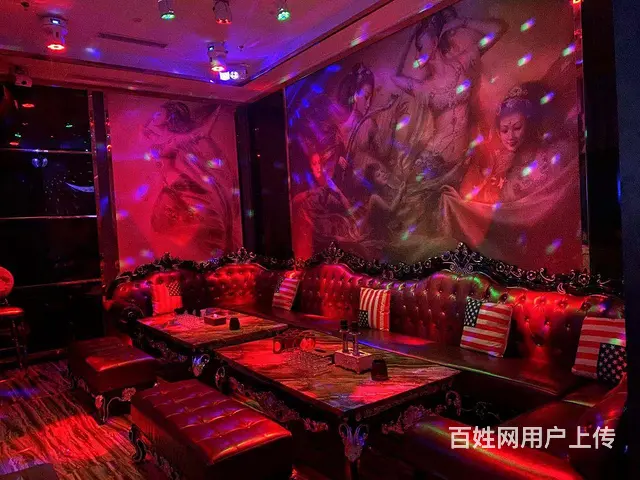 韶关市仁化县 遇见你酒馆 招募股东合伙人兼运营管理 - 图片 4