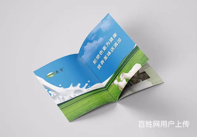 专业画册设计、单页设计、企业通讯录设计、折页设计 - 图片 8
