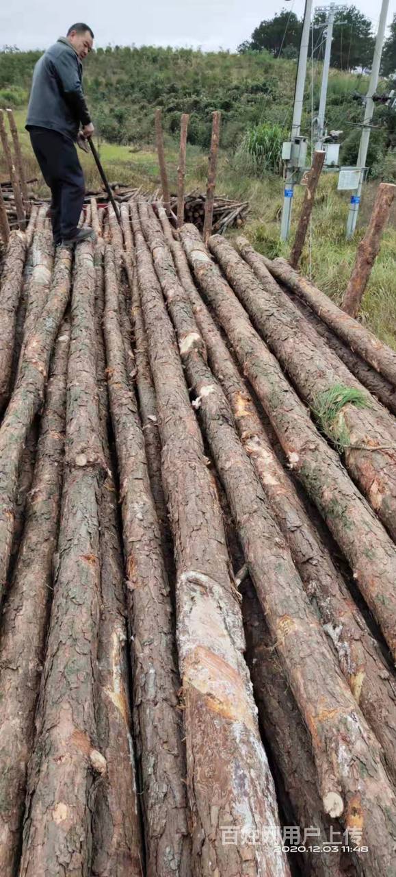 深圳松木桩 批发市场,价格优惠